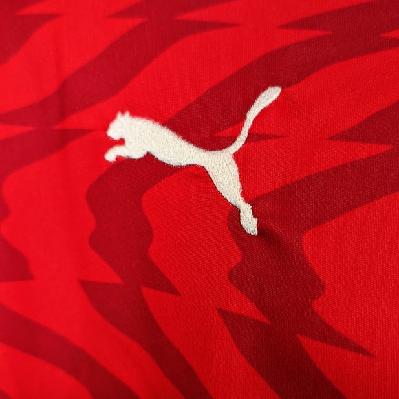 New With Tags! Puma Egypt FA National Team Home Replica Jersey Red/White - Picture 4 of 7